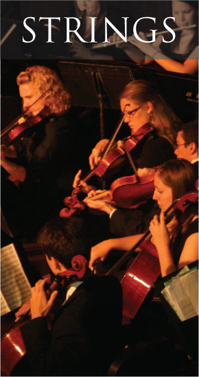StringsBanner