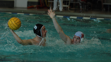 Polo Block