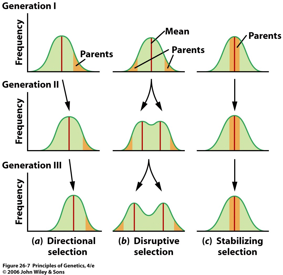 principles-of-genetics-4-e