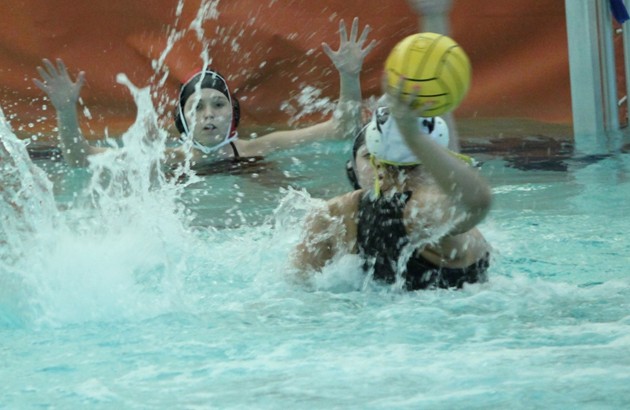 Playing Water Polo