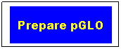 Text Box: Prepare pGLO
