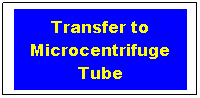 Text Box: Transfer to Microcentrifuge Tube
