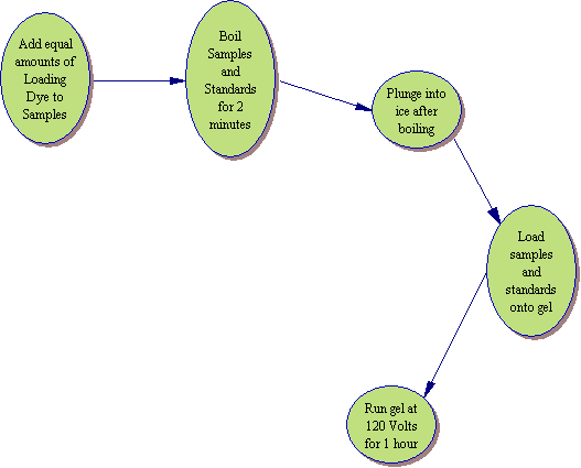 Sds Chart