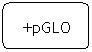 Flowchart: Alternate Process: +pGLO

