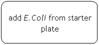 Flowchart: Alternate Process: add E.Coli from starter plate
