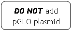 Flowchart: Alternate Process: DO NOT add pGLO plasmid
