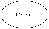 Flowchart: Connector: LB/amp +
