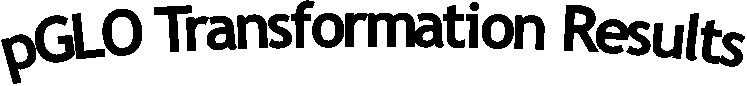 pGLO Transformation Flow Chart 