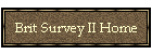 Brit Survey II Home