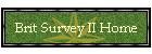 Brit Survey II Home