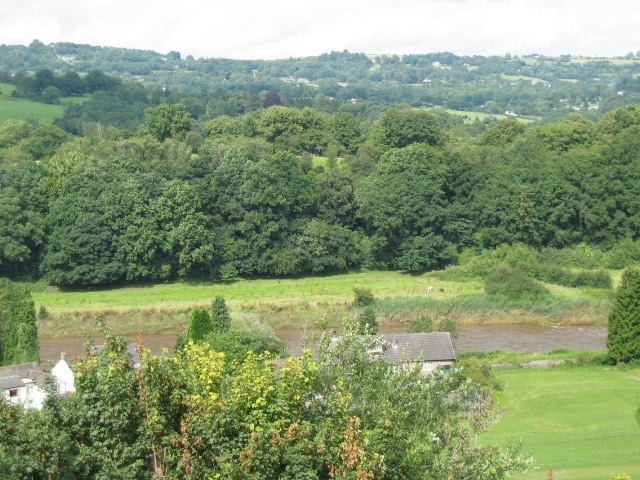 Tintern Abbey