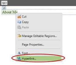 Hyperlink Option