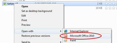 Microsoft Office 2010 Option