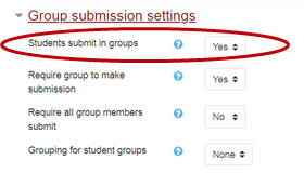 Students submit in groups
