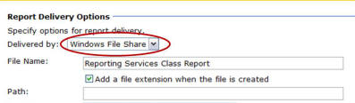 Windows File Share Option
